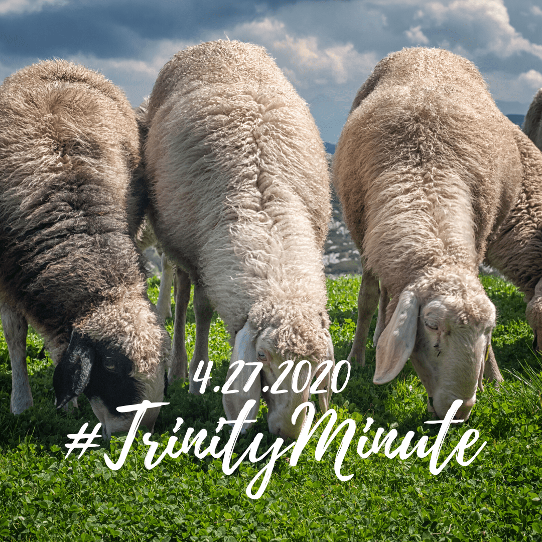 #TrinityMinute 4.27.2020
