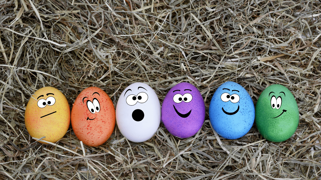 An Eggciting Eggventure